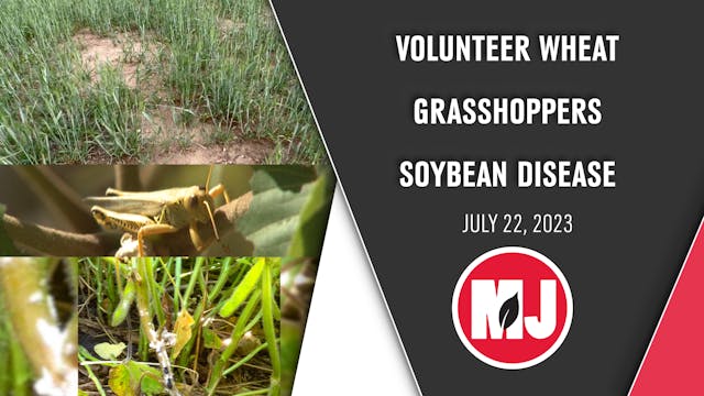 July 21, 2023 | Market Journal