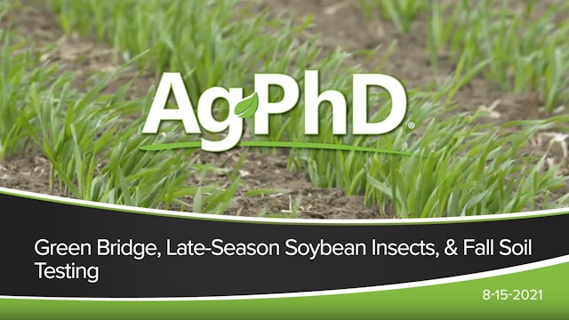 Green Bridge, Late-Season Soybean Insects, Fall Soil Testing