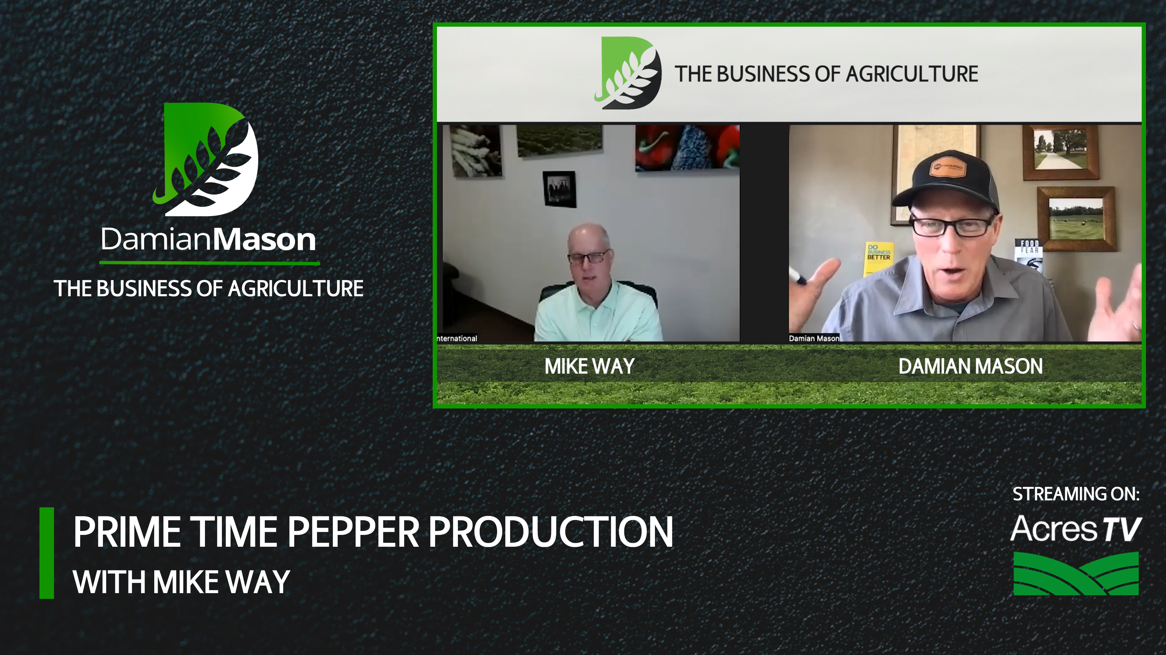 Prime Time Pepper Production | Damian Mason