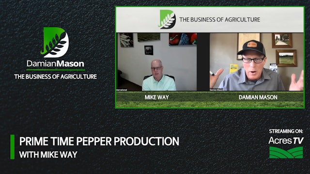 Prime Time Pepper Production | Damian Mason
