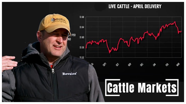 Cattle Feeder Discusses Cattle Markets, Black Swans & Country of Origin Label 