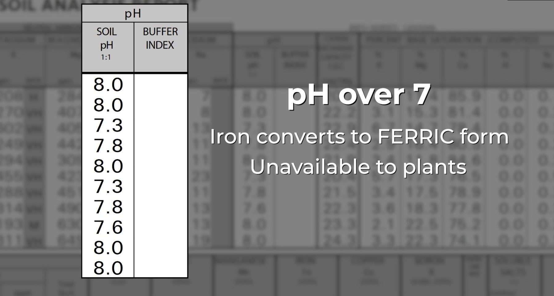 Iron | AgroLiquid B2B