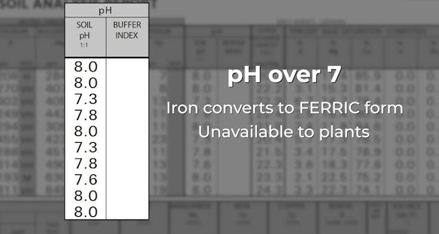 Iron | AgroLiquid B2B
