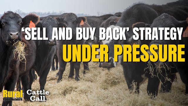 “Sell and Buy Back” Strategy Under Pr...