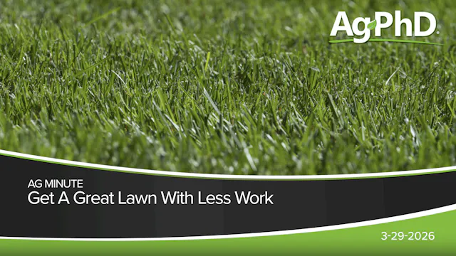Get A Great Lawn With Less Work | Ag PhD