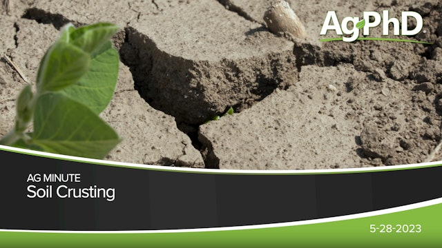 Soil Crusting | Ag PhD