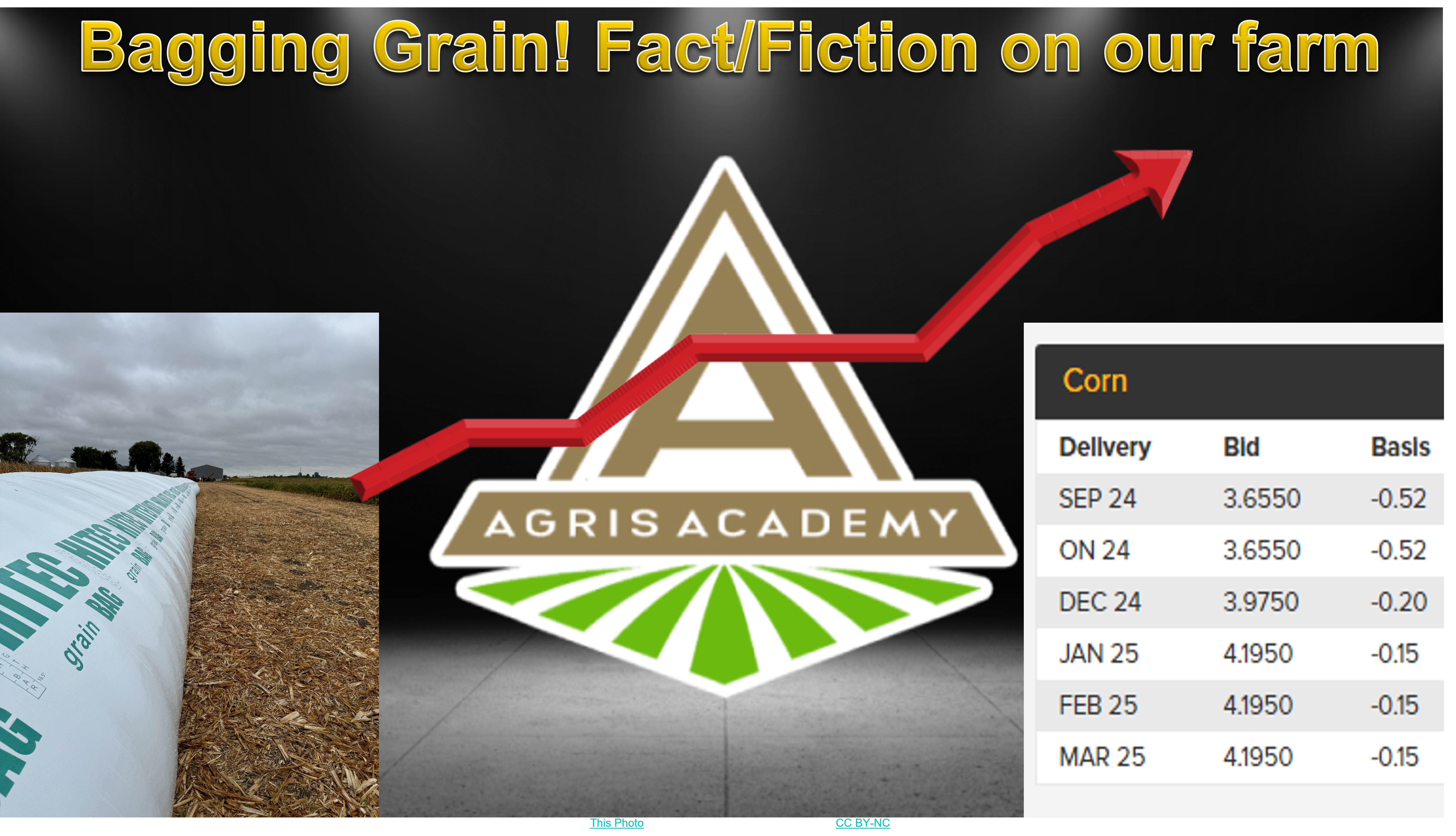 Grain Bagging | AgrisAcademy