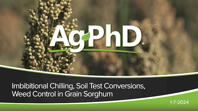 Imbibitional Chilling, Soil Test Conversions, Weed Control in Grain Sorghum