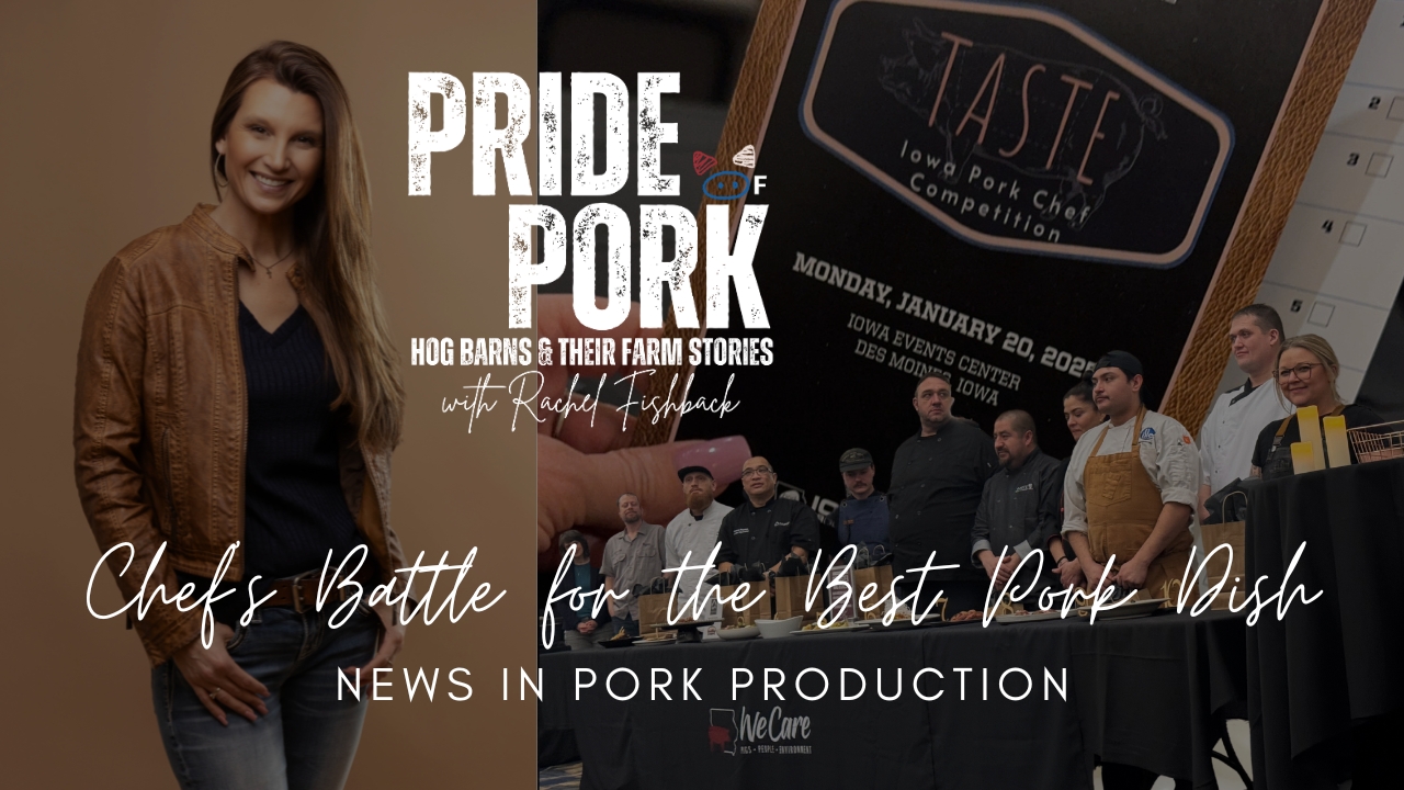 Chefs Battle for the Top Pork Dish | Pride of Pork