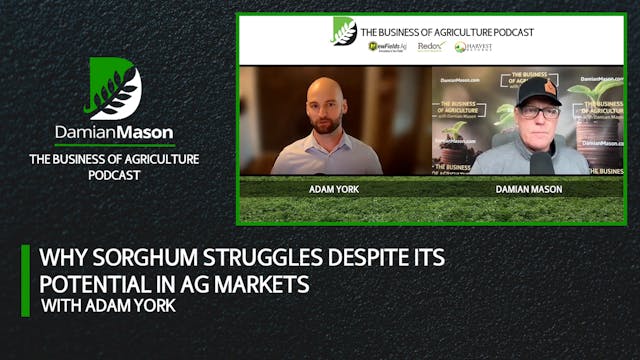 Sorghum’s Image Problem in Global Gra...