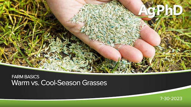 Warm vs. Cool-Season Grasses | Ag PhD