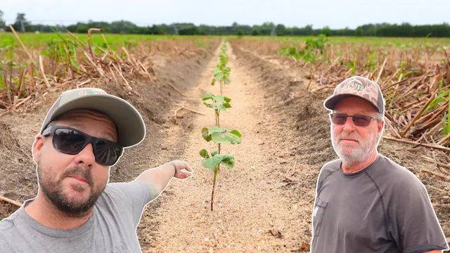 Would You Just Look At It | Field Rows