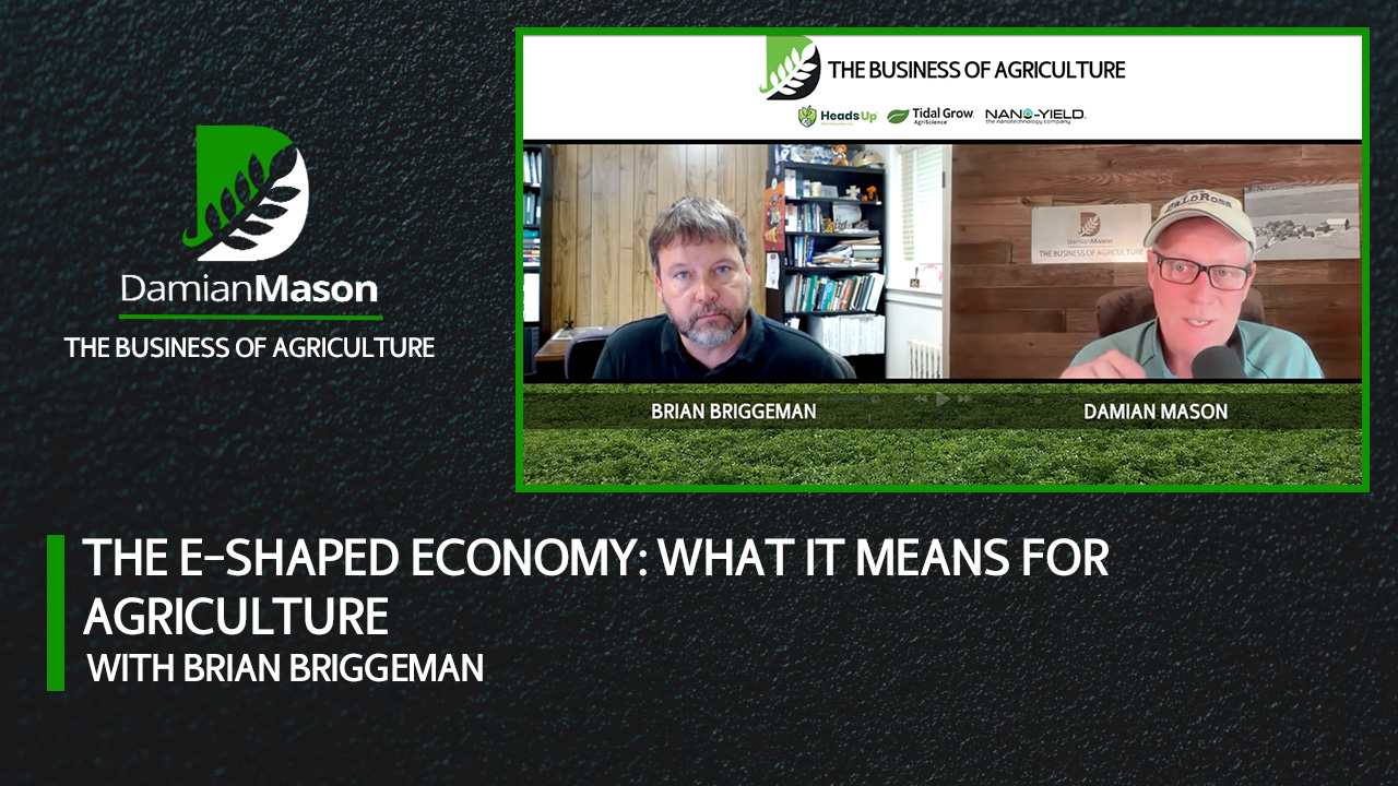The E-Shaped Economy: What It Means for Agriculture | Damian Mason