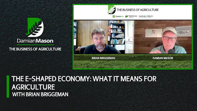 The E-Shaped Economy: What It Means f...