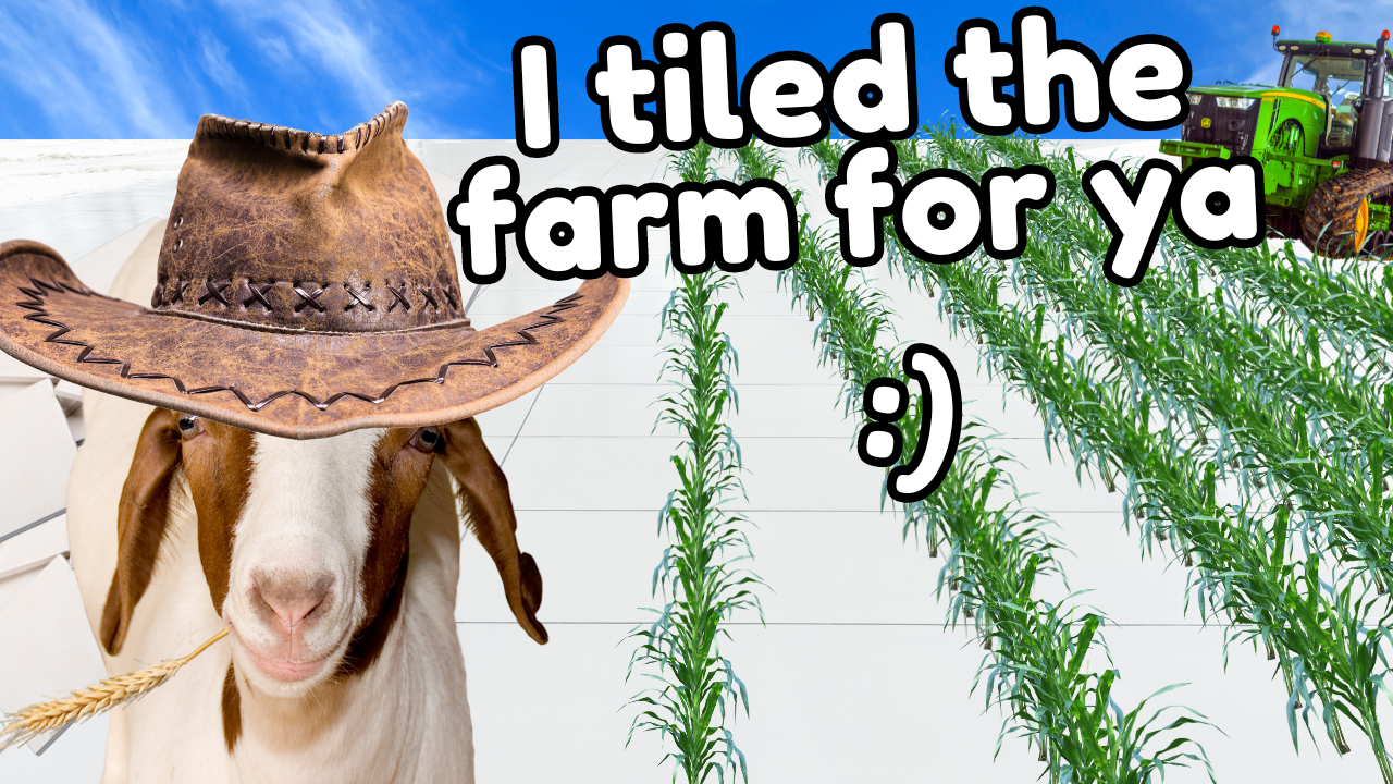 You Got It, We Can Drain It! | WAG in Focus 09/26/24