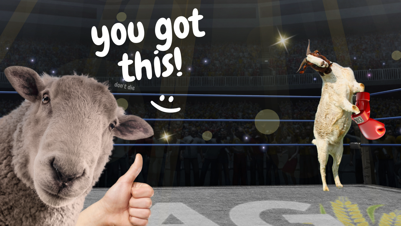 An Uncommon Auction? | WAG in Focus 06-24-25