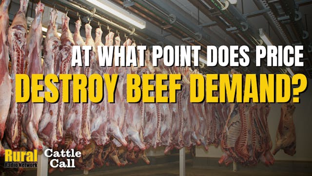 At what point does price kill beef de...