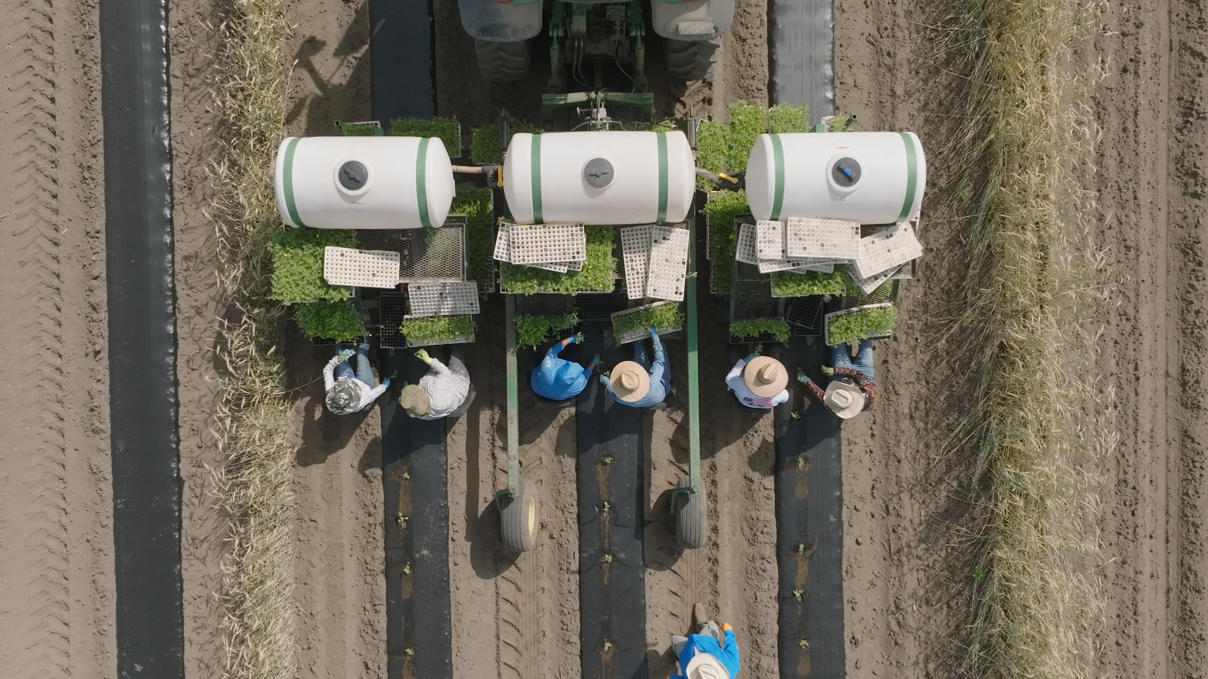 One in a Melon | 103 | Live To Farm