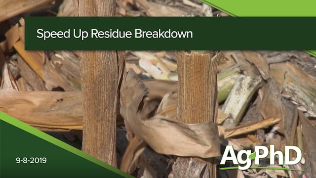 Speed Up Residue Breakdown | Ag PhD