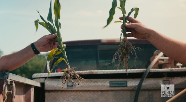 Nutrient Know-How: Plant Hormones are...