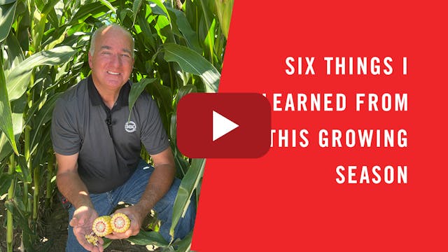 Six Things I Learned From This Growin...