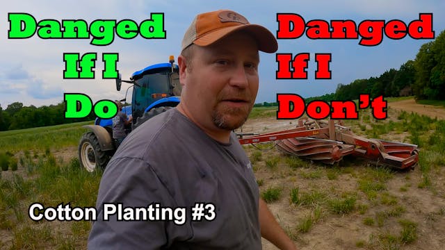 A Turn For The Worst... Cotton Planti...