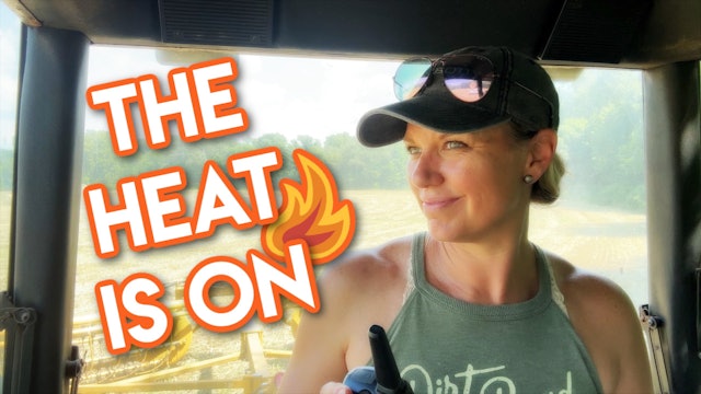 Bringing the Heat : From Ag PhD Field Day to First Cut Sudan || This Farm Wife