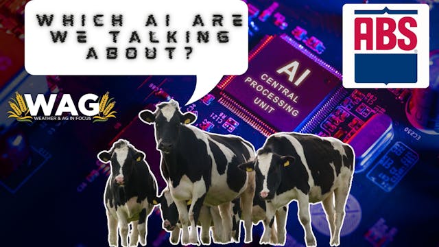 Which AI Are We Talking About? | WAG ...