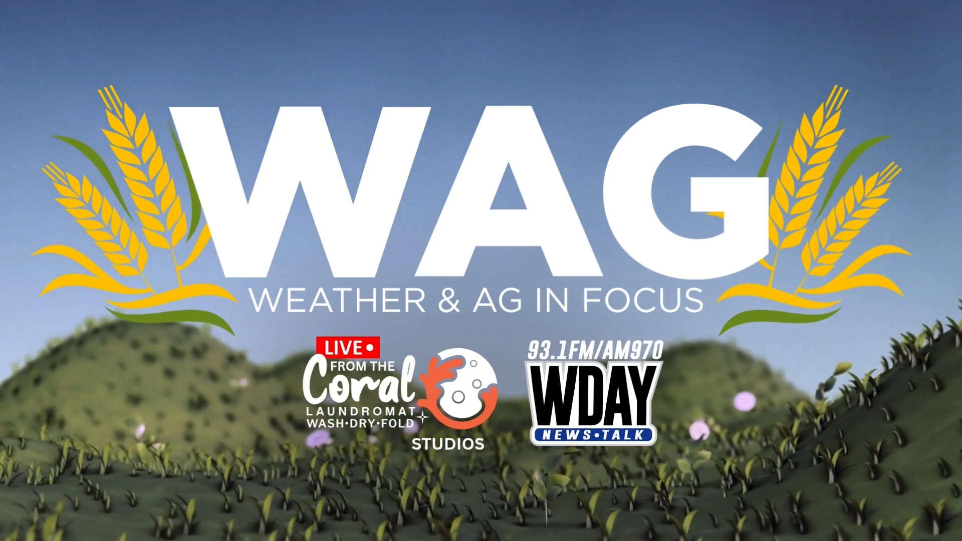 Ch ch ch Chia! | WAG in Focus