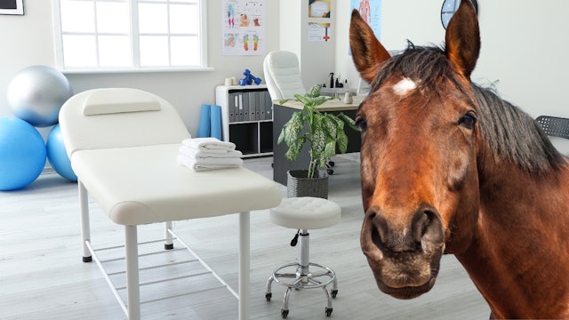 Free For All Tuesday! | WAG in Focus 09-16-25