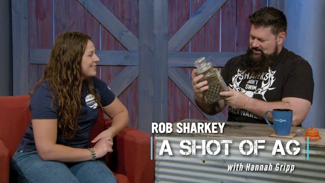 Hannah Gripp | SweetWater Technologie...