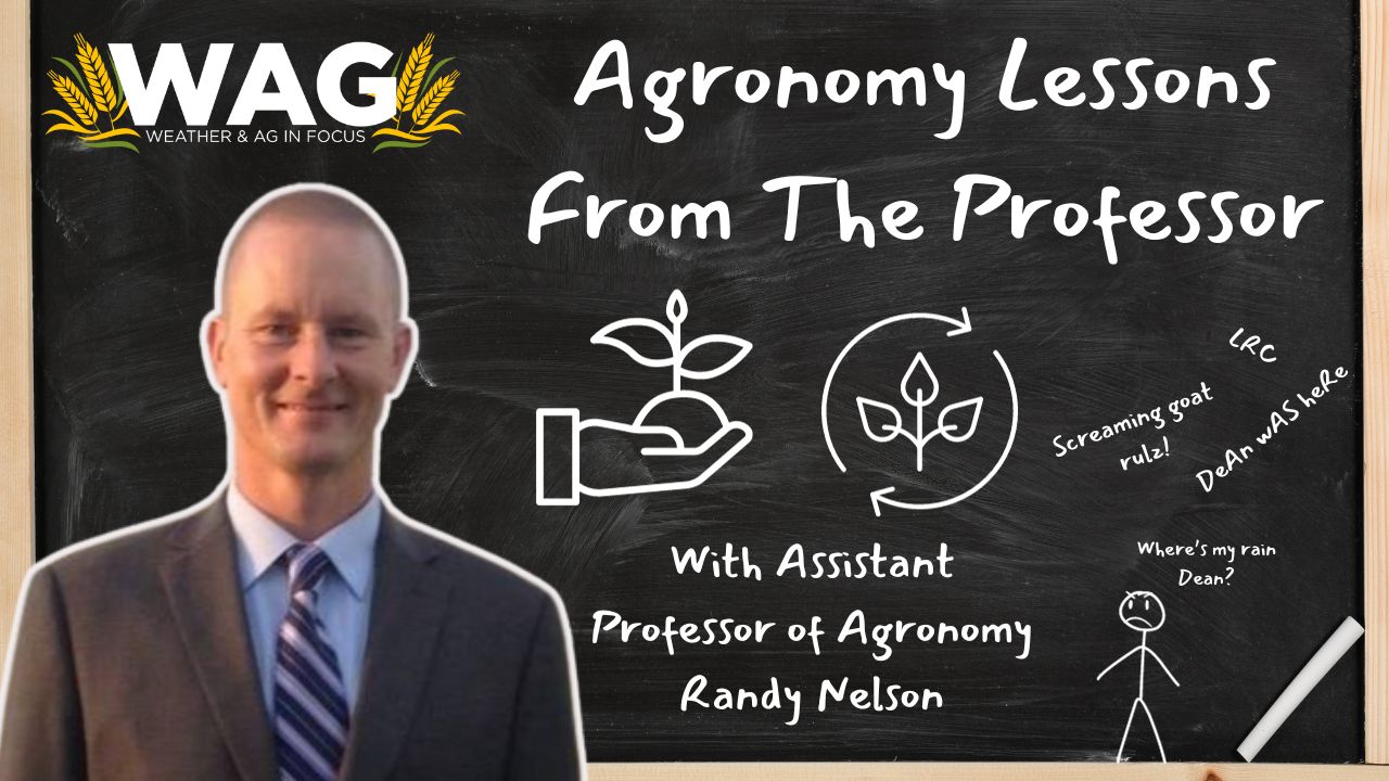 Agronomy Lessons From The Professor | WAG In Focus 12/22/23 - AcresTV