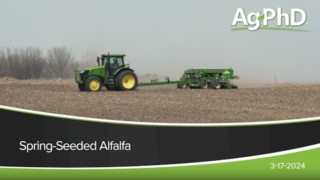 Spring-Seeded Alfalfa | Ag PhD