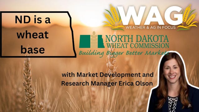 North Dakota is a Wheat Base | WAG in...