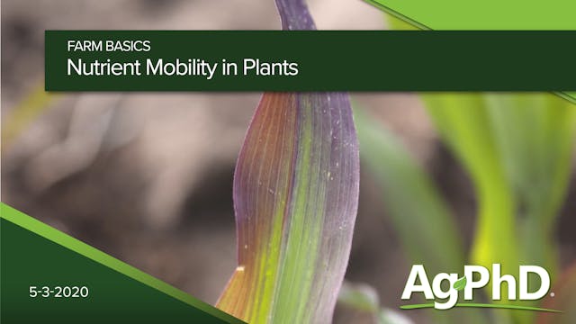 Nutrient Mobility in Plants | Ag PhD
