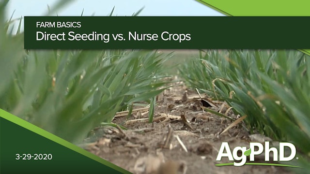 Direct Seeding vs Nurse Crops | Ag PhD