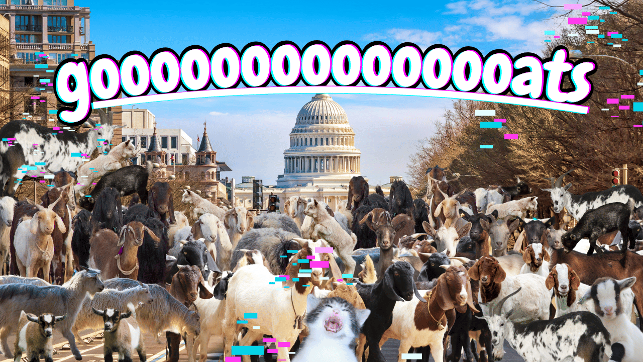 Going to DC for Flood Control | WAG in Focus 06-17-25