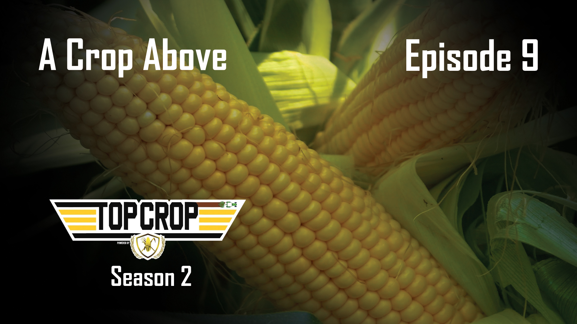 A Crop Above | Episode 9 | Top Crop