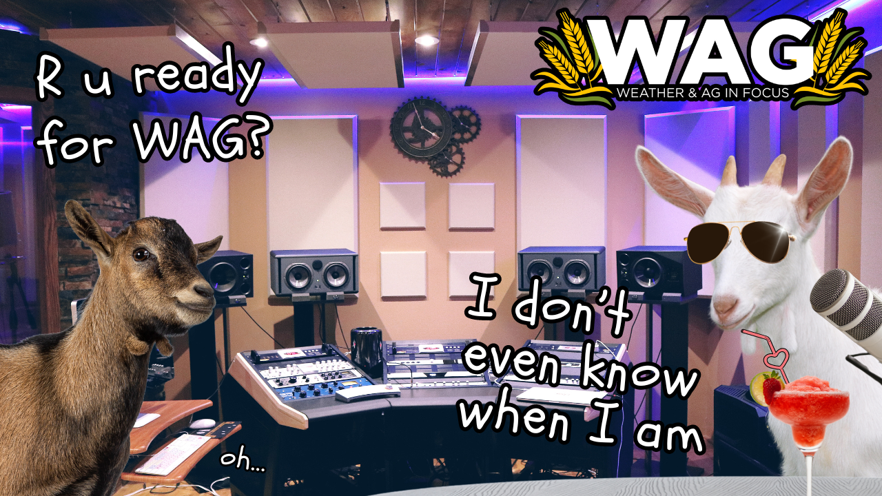 When Will It Storm? | WAG in Focus 12-18-24