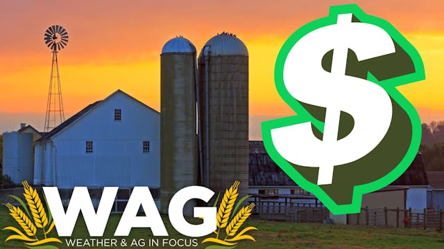 Is YOUR FARM a MONEY FARM? WAG In Foc...