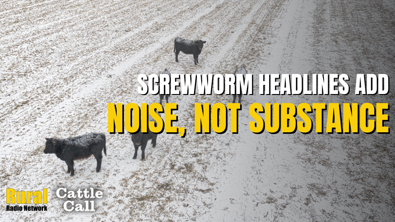 New World Screwworm Headlines Add Noise, Not Substance | Cattle Call