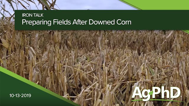 Preparing Fields After Downed Corn