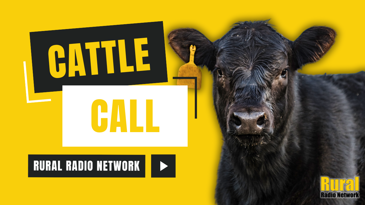 Is the Cattle Market Ready To Tap the Brakes? 🛑 | 3/26/25 Cattle Call