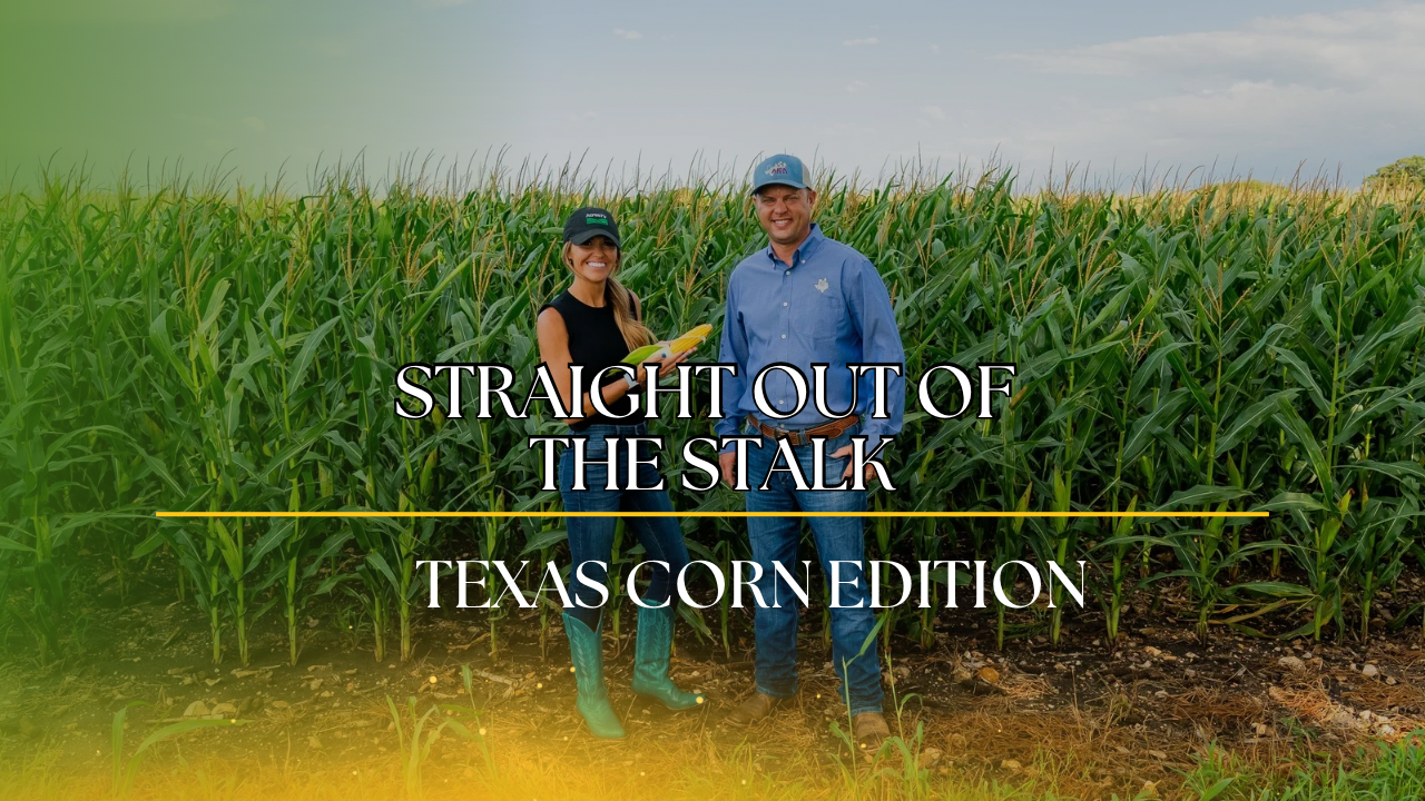 Ag on Wheels | Straight Outta the Stalk: Texas Corn Talk