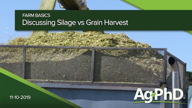 Discussing Silage vs. Grain Harvest