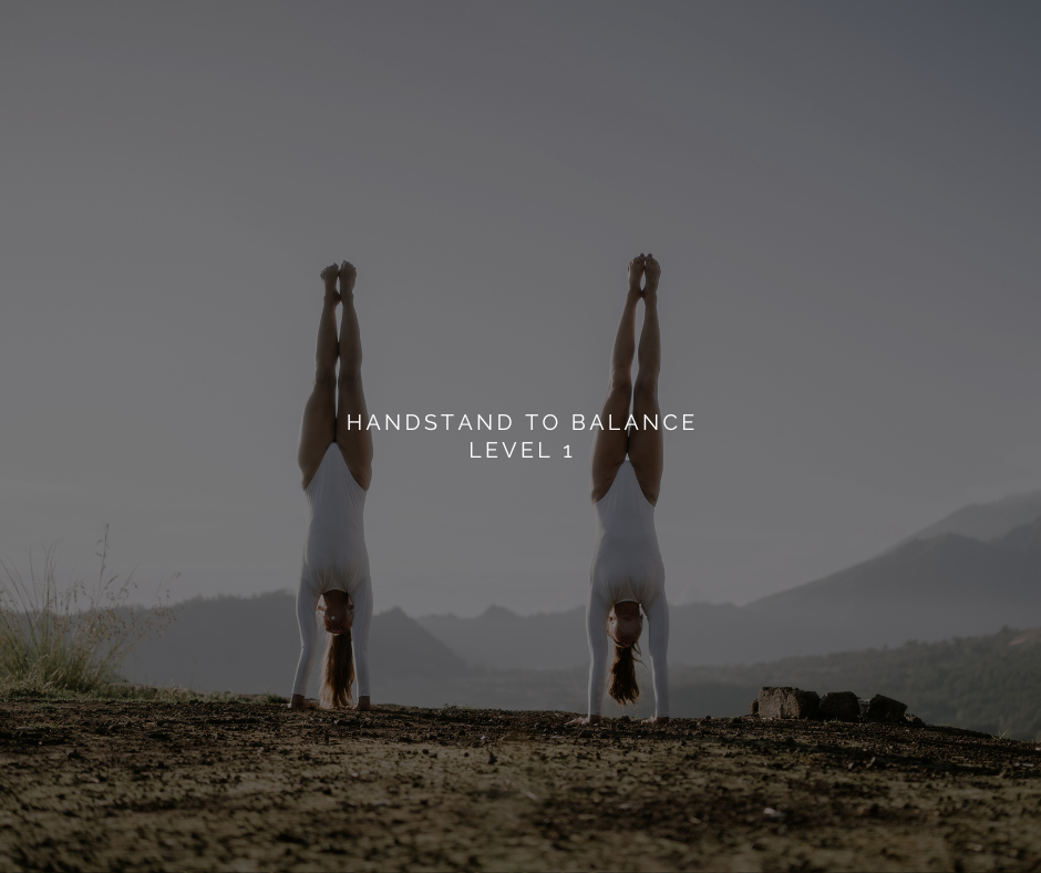 The AcroYoga Academy