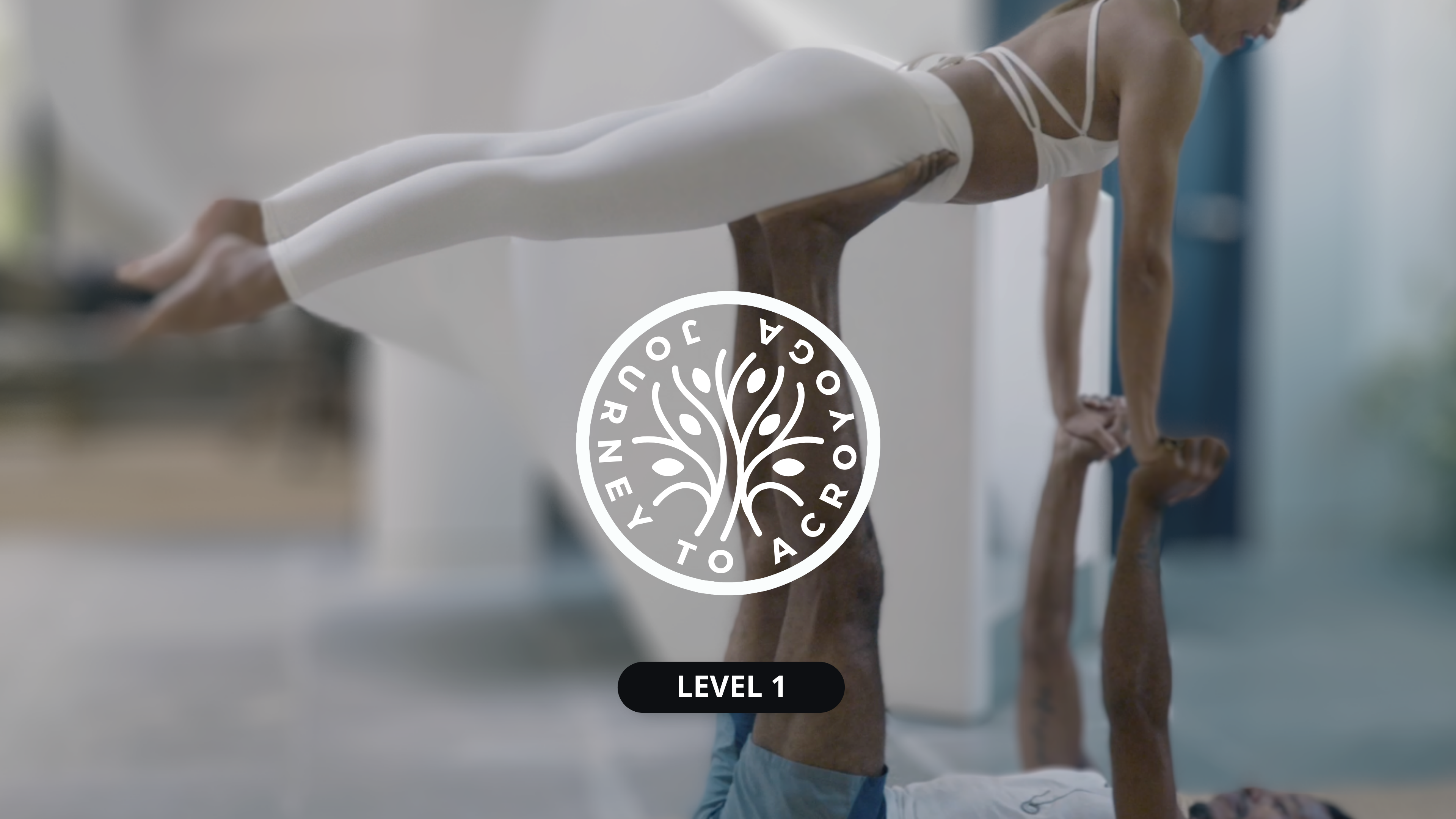 Journey To AcroYoga.pdf