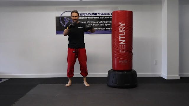 Online Class: Two Punch Combinations