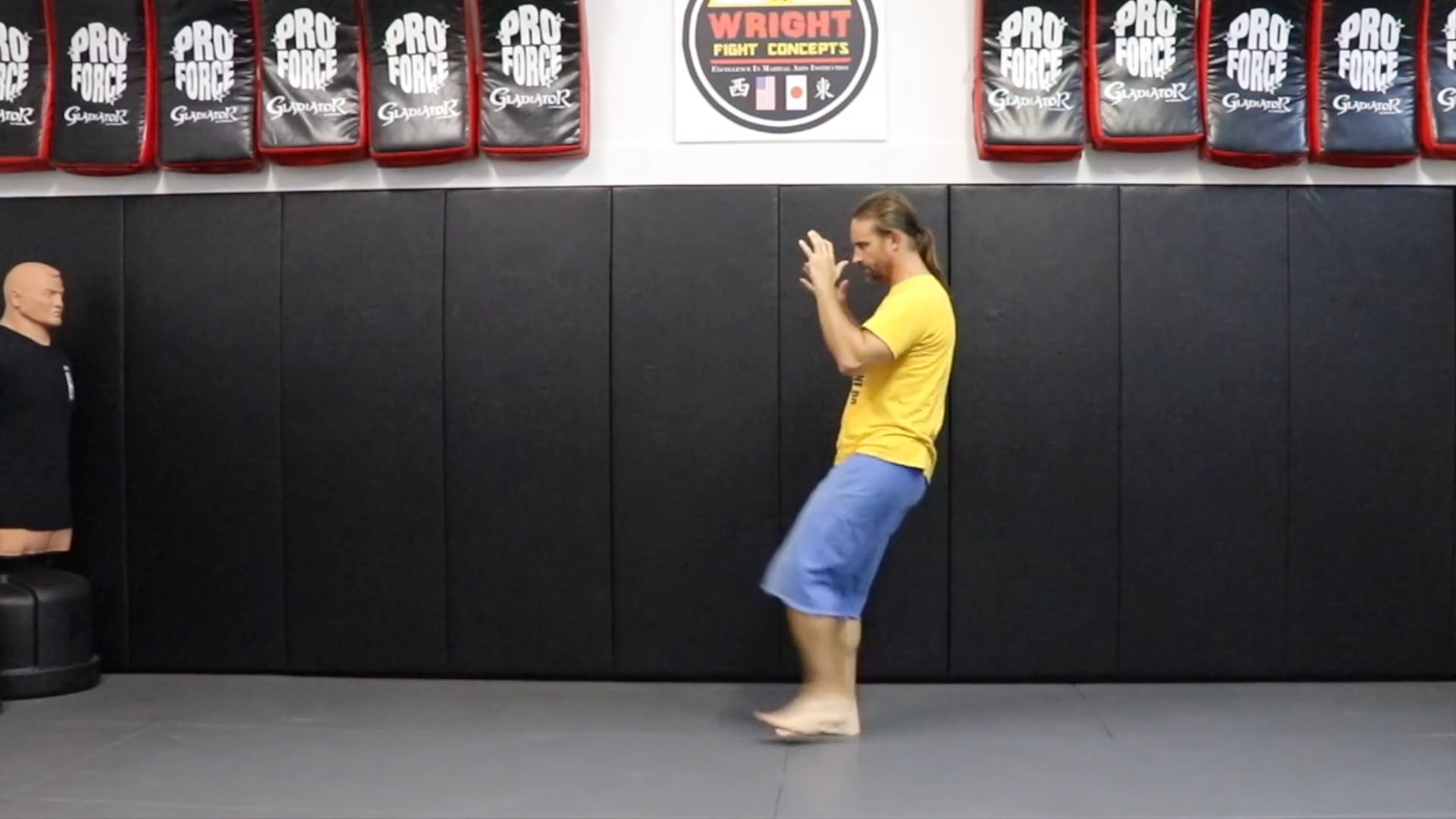Online Class (Level 4) Movement w punches & kicks