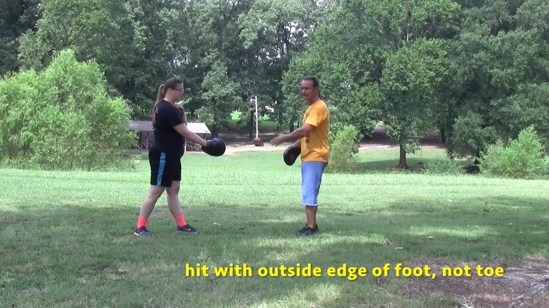 Online Class - Basic Kicks & Pendulum (August 14, 2017)